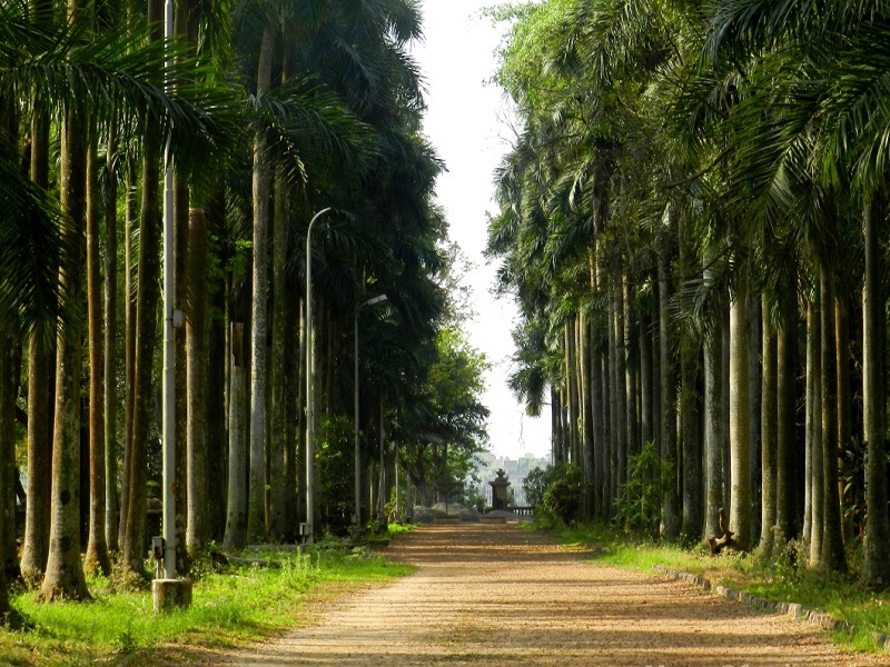 Indian Botanical Garden, Kolkata