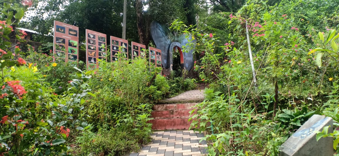 
Thattekkad Butterfly Park, Kerala