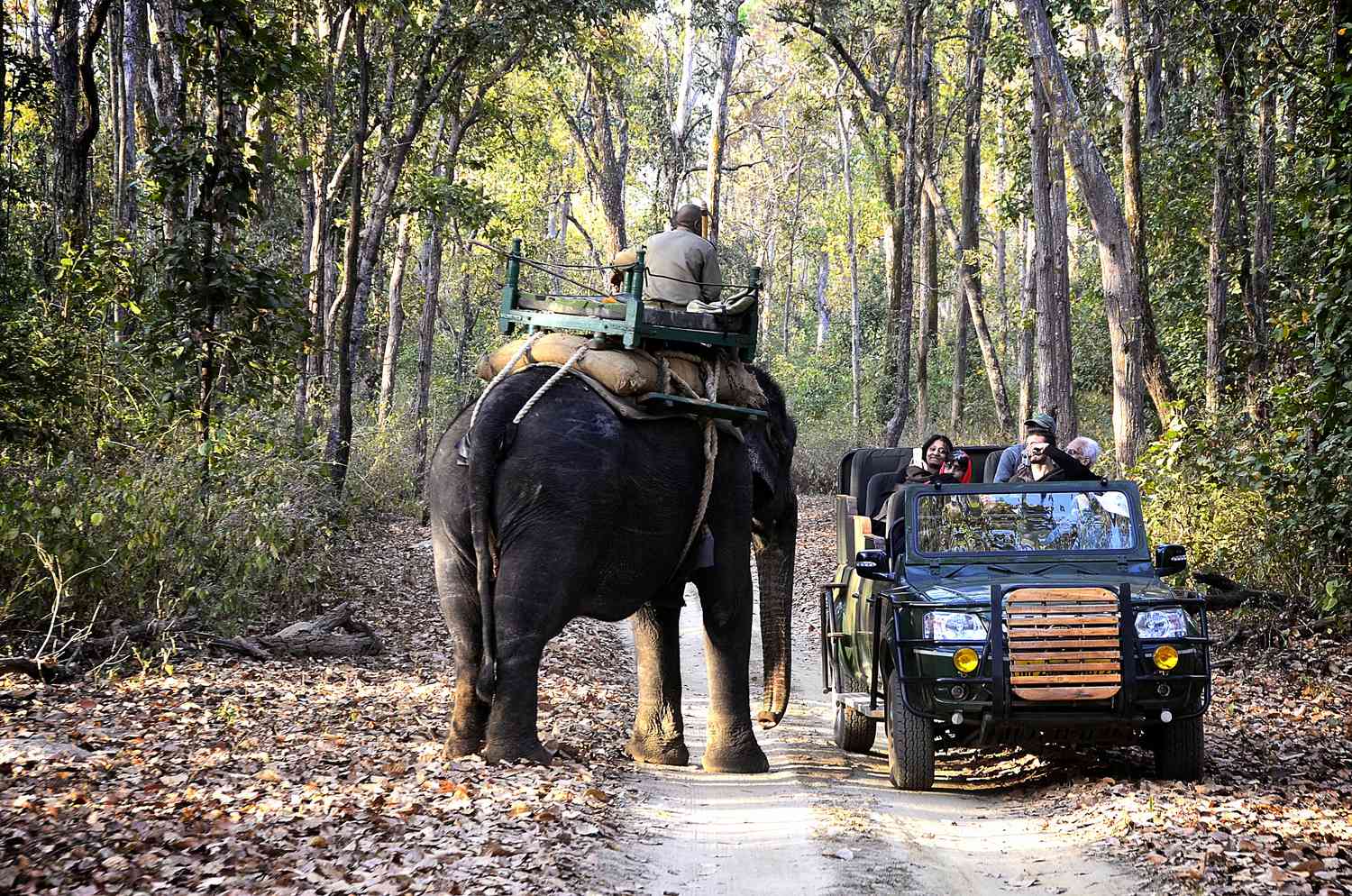 Kanha National Park