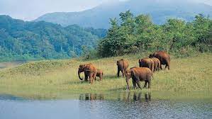 Periyar National Park