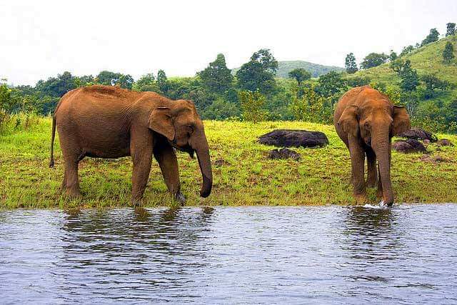 Periyar National Park, Kerala