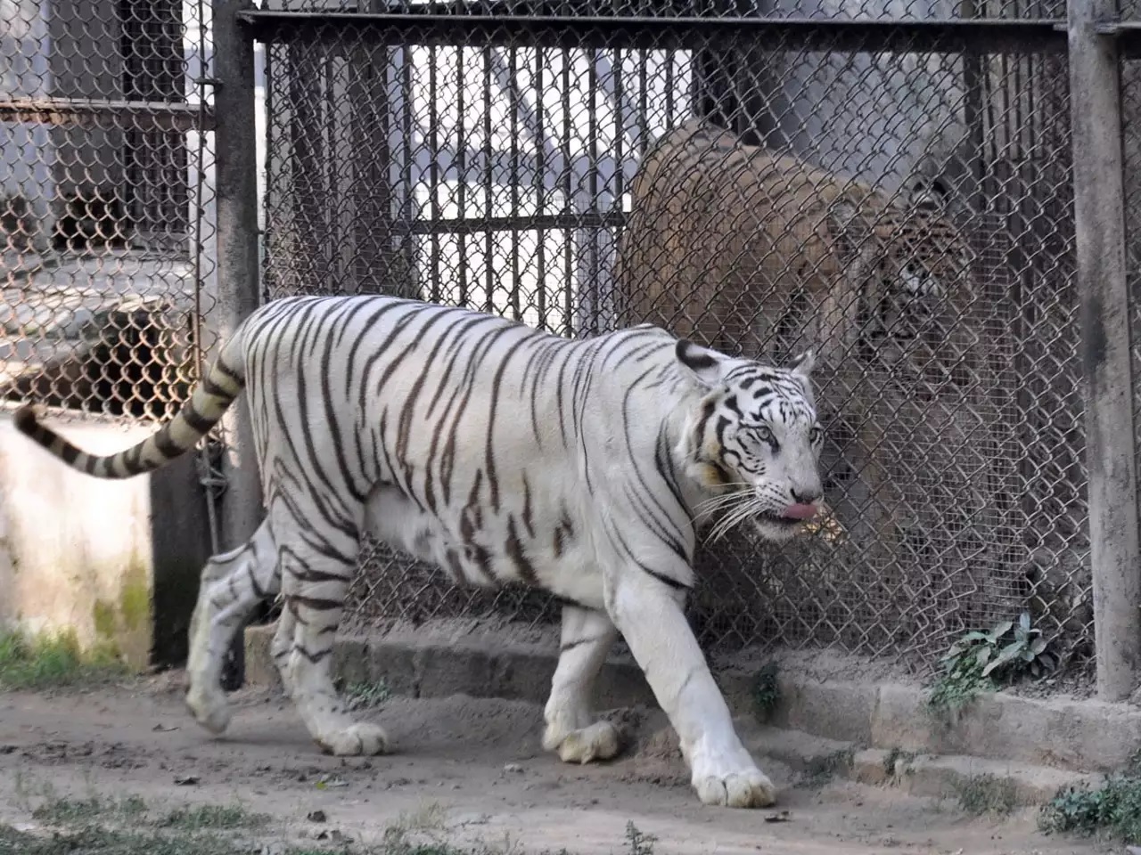 Sanjay Gandhi Biological Park, Bihar